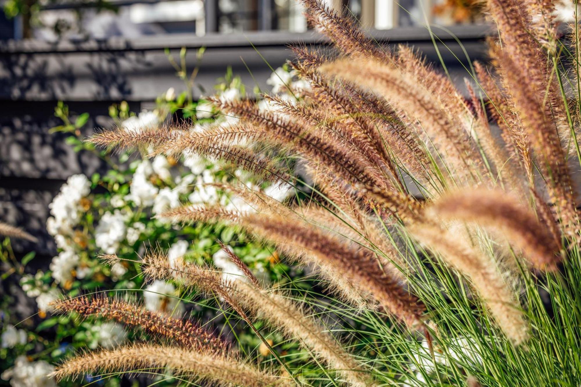 The Ruse Hotel Healdsburg Exterior photo